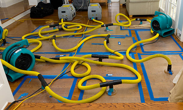 Professional Crawl Space Water Removal technician working in Houston, MO